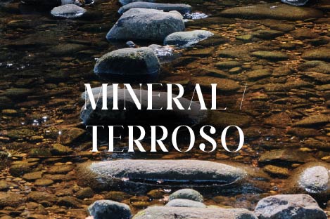 Mineral / Terroso
